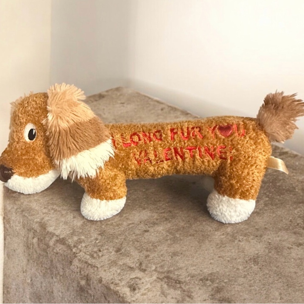 Dan Dee 20” I Love You Valentines Plush Dog Shaggy Ears Stuffed Animal Dachshund